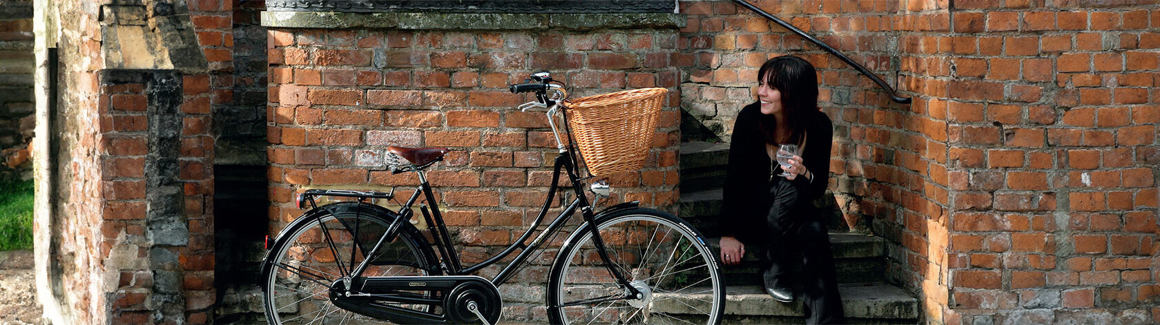 Велосипед Pashley Princess Sovereign 8 Green 20"